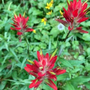 Meet your Posher, Kathryn